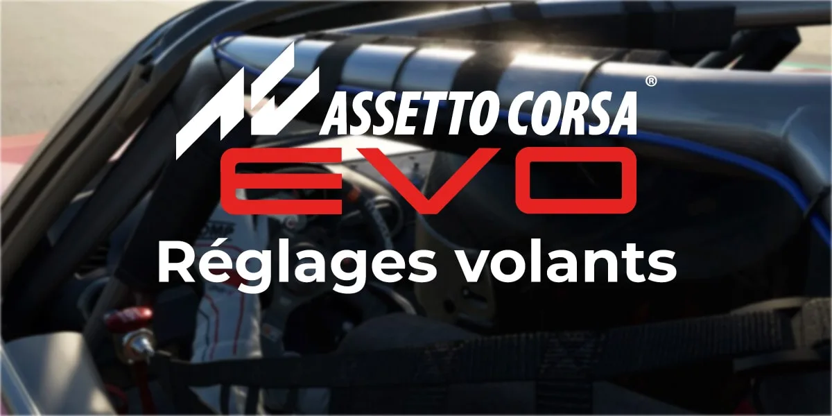 assetto-corsa-evo-reglages-volants